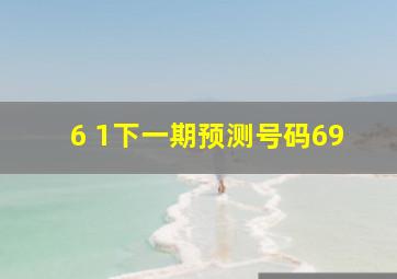 6 1下一期预测号码69